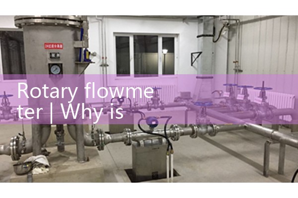 Rotary flowmeter